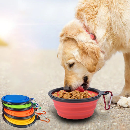 Portable pet bowl